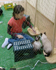 http://ololobr.ru/uploads/posts/2011-09/1317101739_boroda_002.jpg