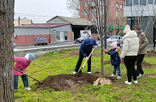 14 04 2025 Весенний день древонасаждения 2025 в Ростове
