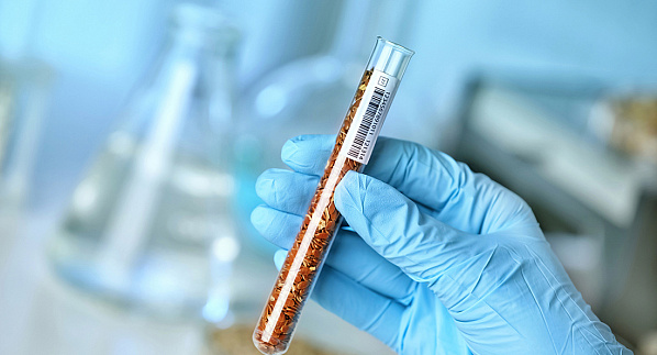 Экспортная продукция прошла тщательное исследование