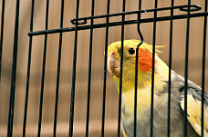 18 07 2025 Ростовский зоопарк продолжает традиции юннатского движения