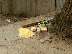 «А не спеть ли мне песню…»