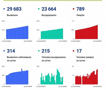 Коронавирус в Ростовской области: статистика на 28 октября