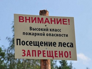 Запрет на посещение донских лесов продлен