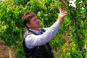 «Французский огород» в Неклиновском районе