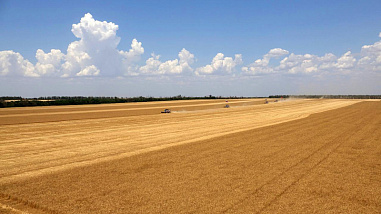 Парад Победы прошел в колхозе имени Шаумяна в Мясниковском районе