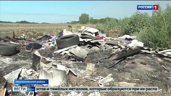 Незаконная свалка, ликвидированная на полях Неклиновского района. Источник: скриншот сюжета программы ,