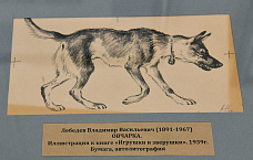 31 01 2026 Областной музей изобразительных искусств зовет в мир животных