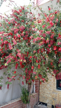  «От лица пресс-службы ГУ ФССП России по Ростовской области примите в этот знаменательный день теплые поздравления!»
