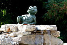 От костровой до костра_15538