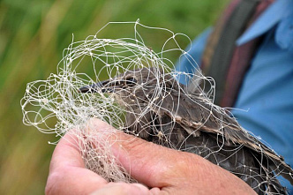 В бой идут волонтеры_17812