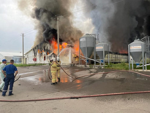 В Каменском районе сгорели более 10 тысяч кур