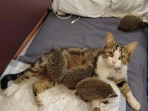 Фото: Екатерина Семенова