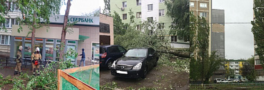 В Волгодонске ликвидируют последствия урагана