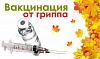 На Дону начинается выездная вакцинация против гриппа