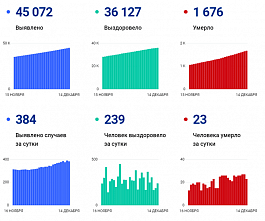 Коронавирус в Ростовской области: статистика на 14 декабря
