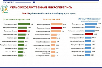 Второе место в России по количеству фермеров: на Дону подвели предварительные итоги сельскохозяйственной микропереписи