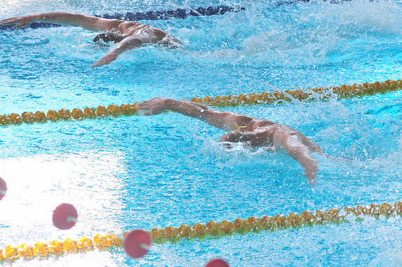 Динамовский бенефис