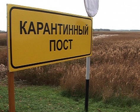 Карантин снят
