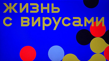 В Ростове готовятся к «Жизни с вирусами»