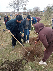 В хуторе Погорелов высадили фруктовые деревья