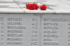 14 02 2026 Ростов. Свободно от фашистов