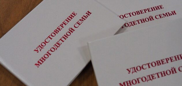 Многодетные на Дону будут иметь документ единого образца