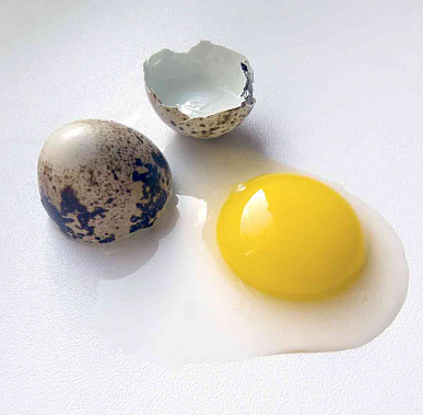 Даже младенцам полезно