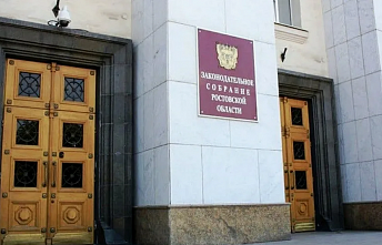 Прошло общественное обсуждение отчета уполномоченного по правам ребенка в Ростовской области
