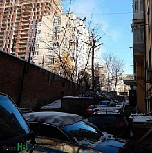 Их срубили