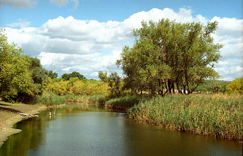 Вешенская, как и Париж, стоит мессы