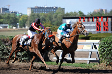 Скачки на Кубок губернатора