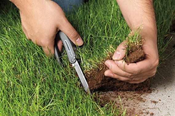 В трех городах Ростовской области закончилась земля для частного сектора