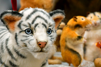 09 12 2024 Все куклы в гости к нам