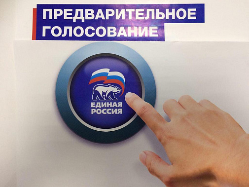 Для участия в предварительном голосовании «Единой России» на Дону заявились около 200 человек