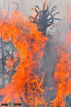 Проводили зиму, встречаем весну