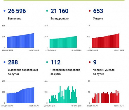 Донской регштаб сообщает о 18 подтвержденных за сутки случаях гибели от COVID-19