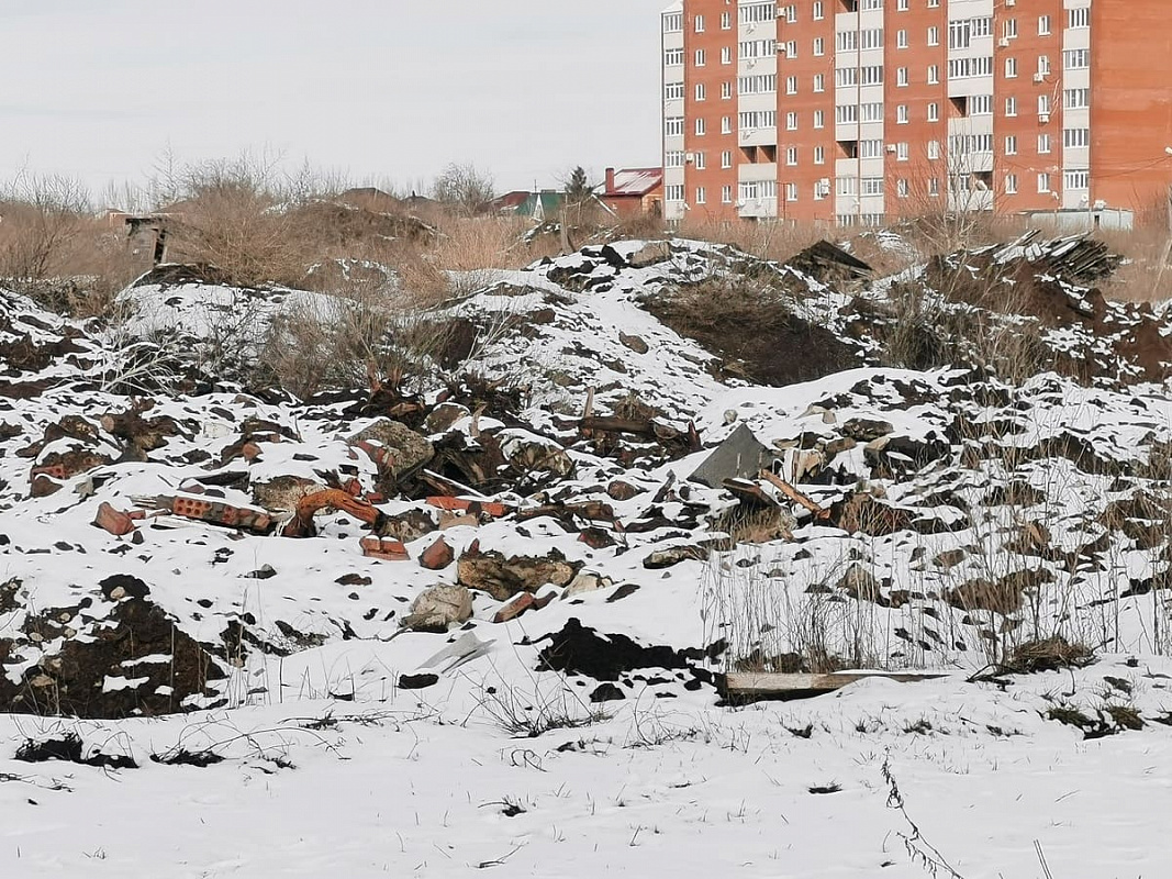 Фото пресс-службы межрегионального управления Росприроднадзора 