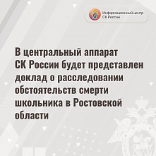 Председатель Следкома России потребовал доложить о расследовании обстоятельств смерти ученика в донецкой школе