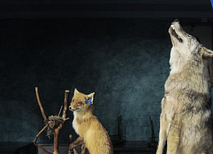  На «круглом столе» по охотничьей теме не обошли острых углов