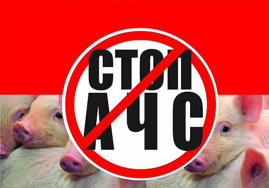 На Дону выявлен новый очаг африканской чумы свиней