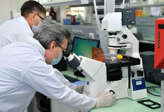 Доля бессимптомных носителей коронавируса в Ростовской области составляет 51%