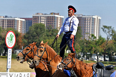 13 09 2026 На ростовском ипподроме прошли первые за несколько лет скачки со зрителями