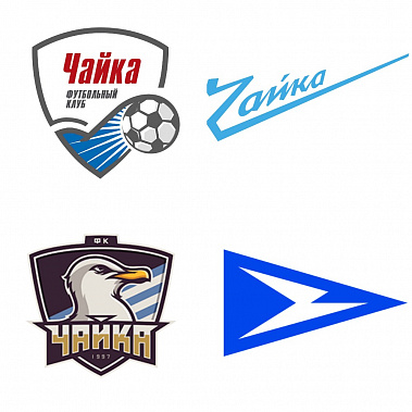 «Чайка» теряет высоту. Футбольный клуб отправлен в дивизион более низкого ранга