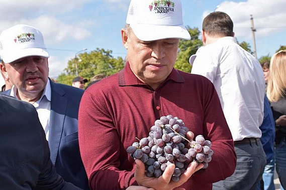 В Ростовской области туристов будут угощать фирменными винами