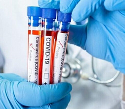 В Ростовской области выявили еще 194 пациента с COVID-19
