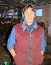 Коровы из красной книжки