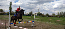 В Миллеровском районе прошел конно-спортивный праздник