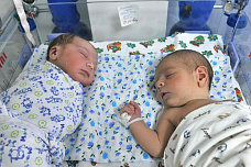 Наш общий дом_20174