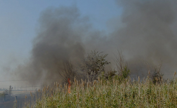 В донском регионе сохраняется чрезвычайная пожароопасность