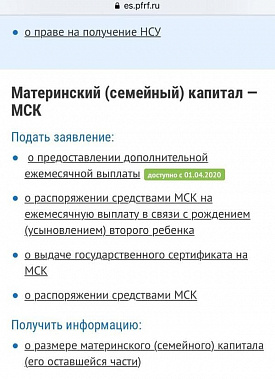 Пенсионный фонд России готовится к приему заявлений от родителей на получение дополнительных выплат